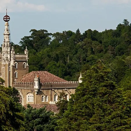 Palace Hotel Do Bussaco-2